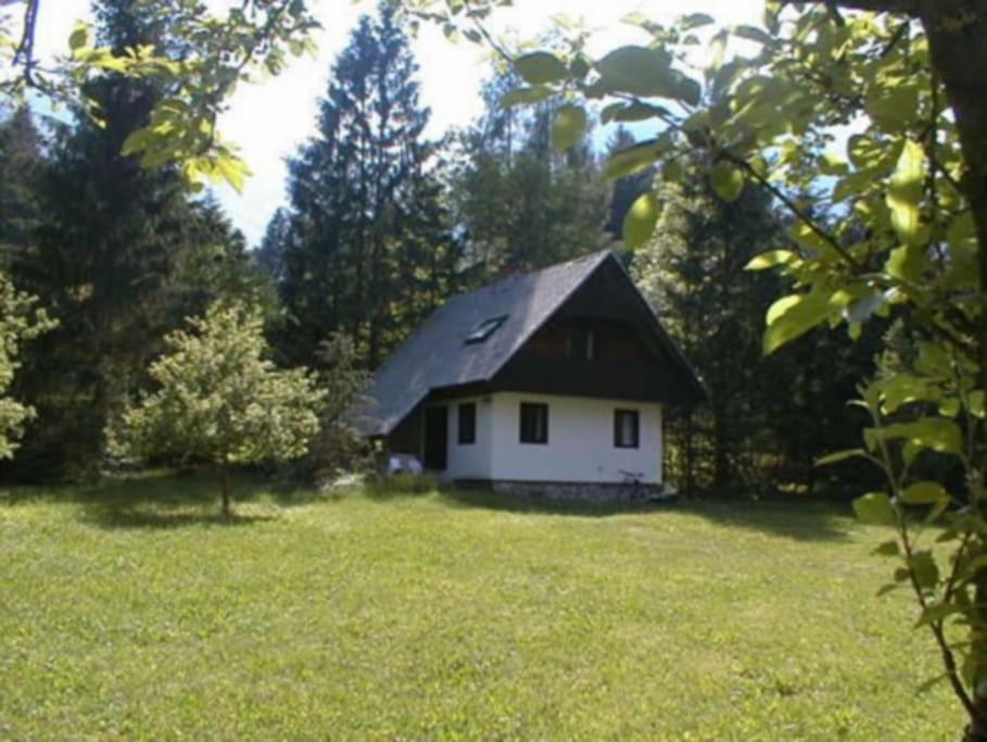 Apartment Lake Bohinj No. 5 Bagian luar foto