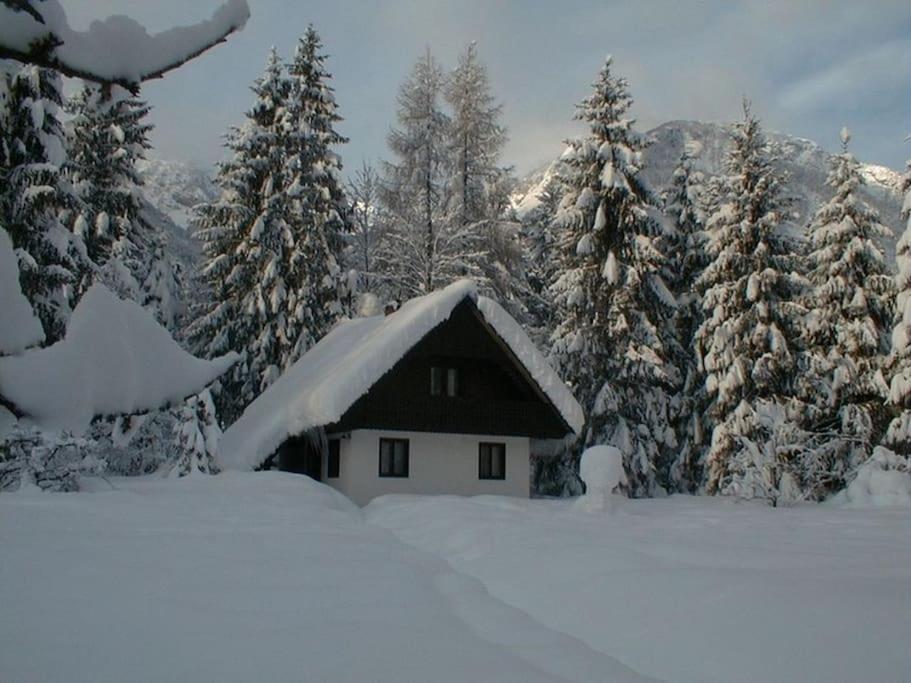 Apartment Lake Bohinj No. 5 Bagian luar foto