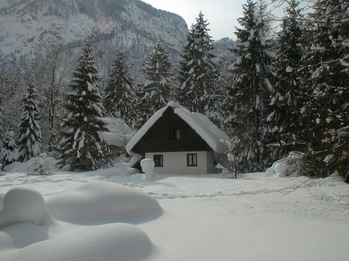 Apartment Lake Bohinj No. 5 Bagian luar foto