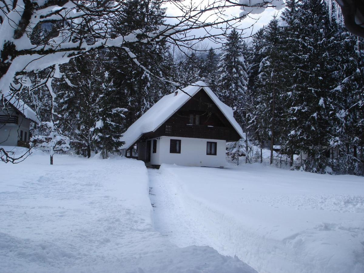 Apartment Lake Bohinj No. 5 Bagian luar foto
